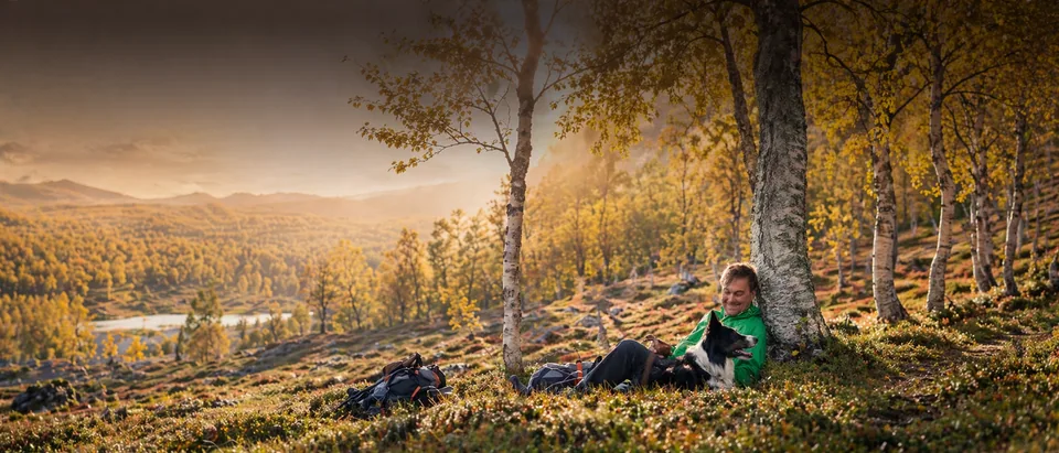 Ledartränare vilar mot en björk i höstskog med sin hund bredvid ryggsäcken