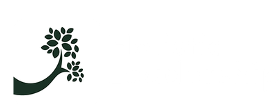 Holistic Leadership