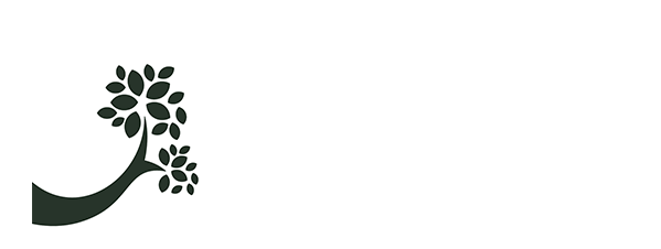 Holistic Leadership